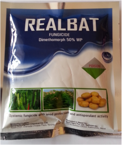 RealBat