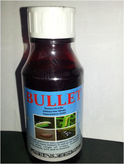 Bullet