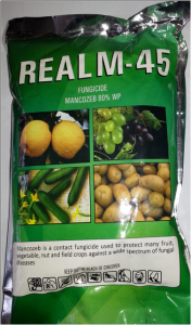 Real M-45